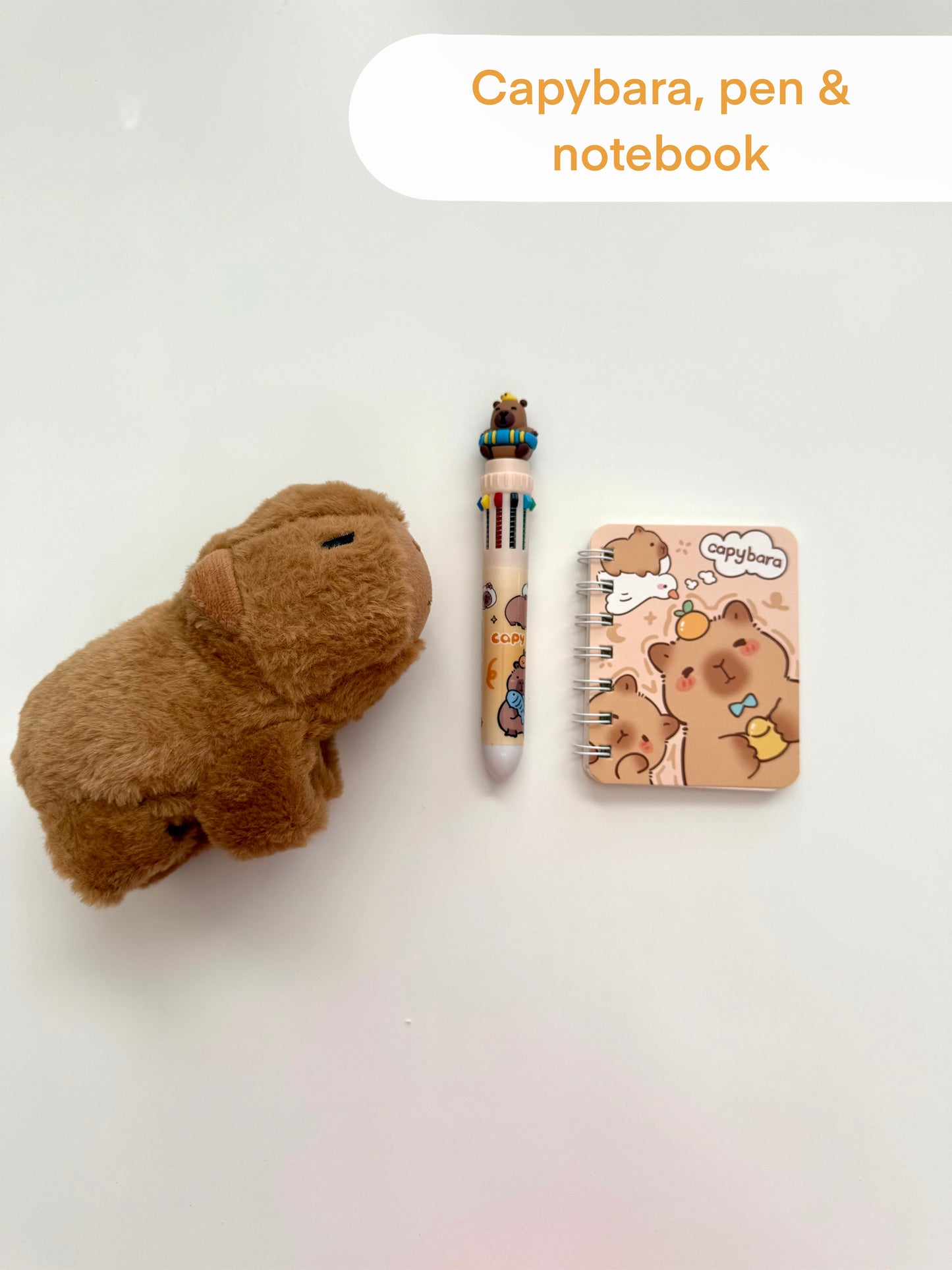 Capybara Gift Set – Plush Bracelet & Stationery, Kawaii Style