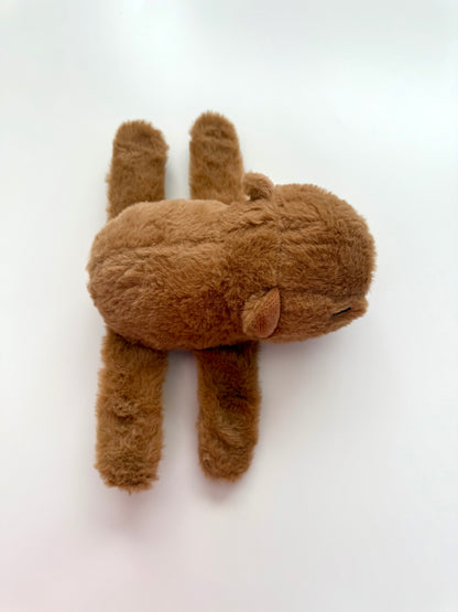 Capybara Gift Set – Plush Bracelet & Stationery, Kawaii Style