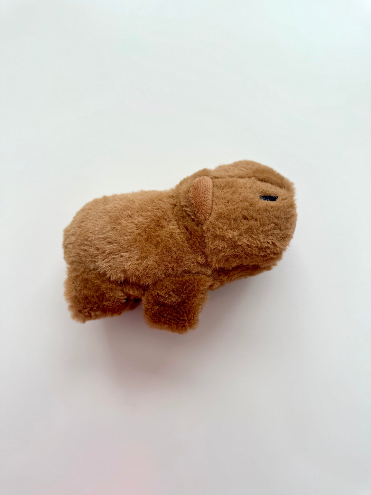 Capybara Gift Set – Plush Bracelet & Stationery, Kawaii Style