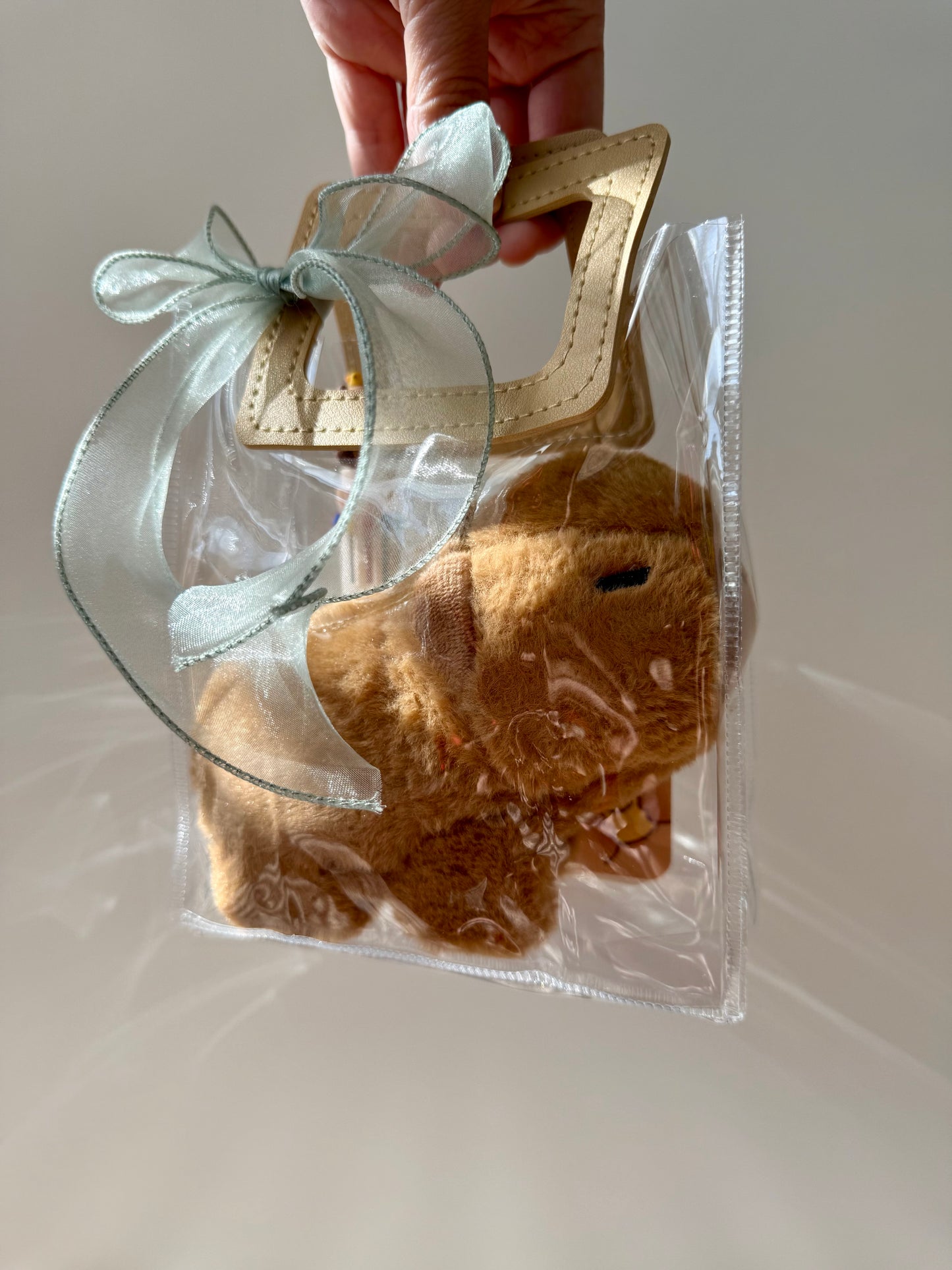 Capybara Gift Set – Plush Bracelet & Stationery, Kawaii Style