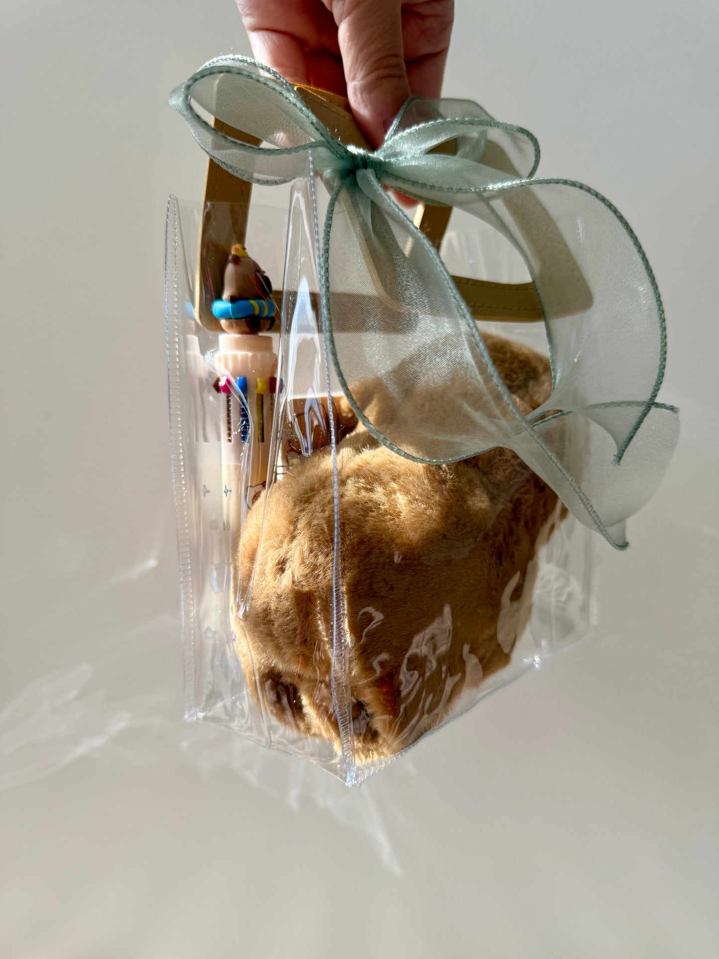 Capybara Gift Set – Plush Bracelet & Stationery, Kawaii Style