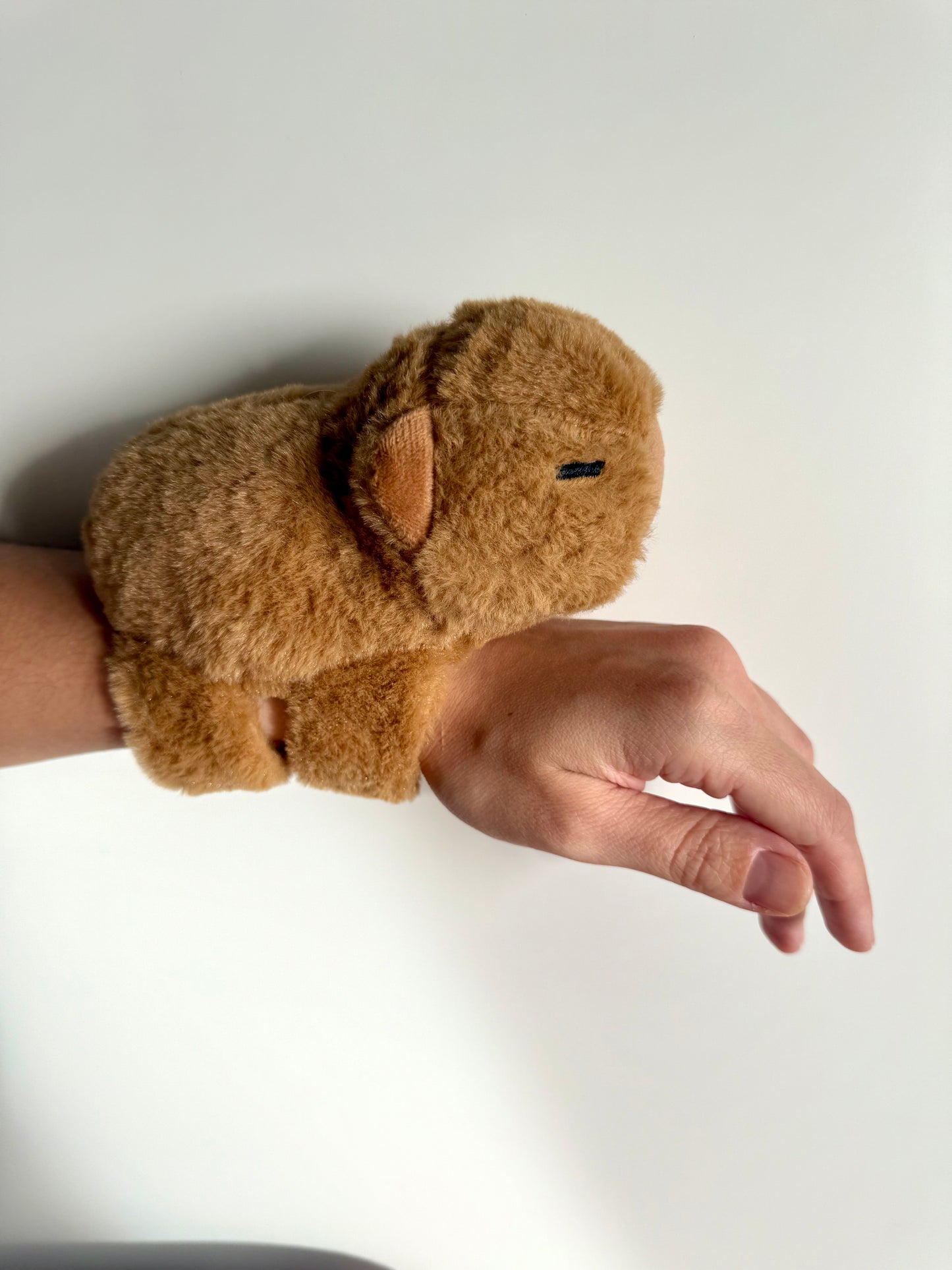 Capybara Gift Set – Plush Bracelet & Stationery, Kawaii Style
